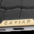 ТАБЛИЧКА Russia Alligator Gold