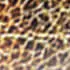 Корпус Tiger Gold