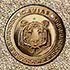 Украшение корпуса Tiger Gold