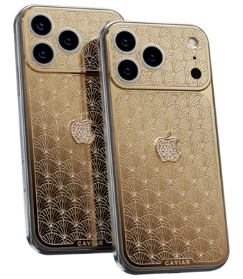 Кастом iPhone 18 Pro/Pro Max Пальметта 18K