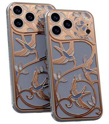 Кастом iPhone 17 Pro/Pro Max Крылья Любви