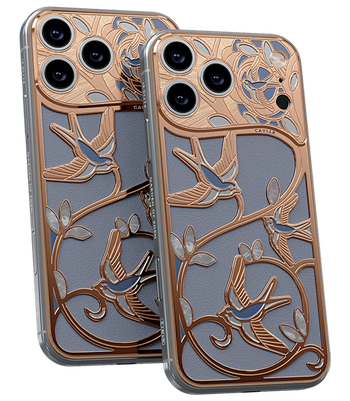Кастом iPhone 18 Pro/Pro Max Крылья Любви